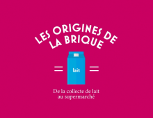 LSDH – Les Origines de la brique